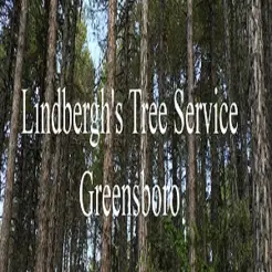 Lindbergh\'s Tree Service Greensboro - Greensboro, NC, USA Lindbergh\'s Tree Service Greensboro - Greensboro, NC, USA