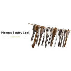Magnus Sentry Lock - Elizabeth, NJ, USA