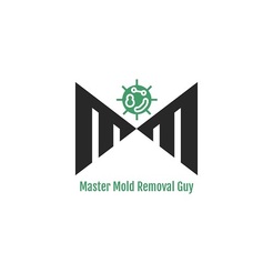 Master Mold Removal Guy - Queens, NY, USA