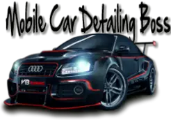 Mobile Car Detailing Boss - Tampa, FL, USA