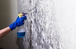 Mold Experts of Baltimore - Baltimore, MD, USA