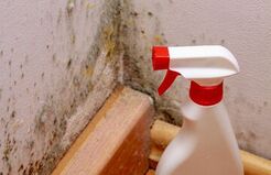 Mold Experts of Tampa - Tampa, FL, USA
