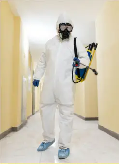 Mold Remediation Reading Solutions - Reading, PA, USA Mold Remediation Reading Solutions - Reading, PA, USA