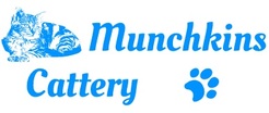 Munchkins Cattery - Duluth, MN, USA