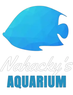 Nahacky's Aquarium - Melbourne, FL, USA