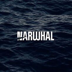 Narwhal Media Group - Bristol, Gloucestershire, United Kingdom Narwhal Media Group - Bristol, Gloucestershire, United Kingdom