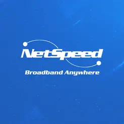 Netspeed Ltd - Dunedin, Otago, New Zealand