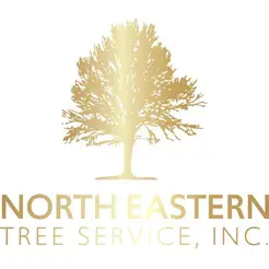 North Eastern Tree Service - Cranston, RI, USA
