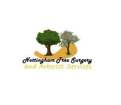Nottingham Tree Surgery and Arborist Services - Nottingham, Nottinghamshire, United Kingdom