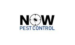 Now Pest Control - Leichardt, NSW, Australia