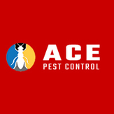 Pest Control Adelaide - Adeliade, SA, Australia