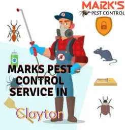 Pest Control Clayton - Clayton, VIC, Australia