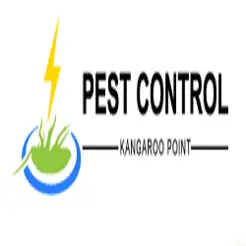 Pest Control Kangaroo Point - Kangaroo Point, QLD, Australia