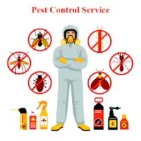Pest Control Newstead - Newstead, QLD, Australia