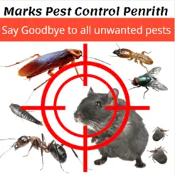 Pest Control Penrith - Penrith, NSW, Australia