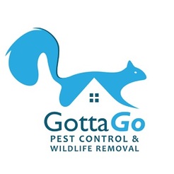 Pest Control Toronto - Etobicoke, ON, Canada