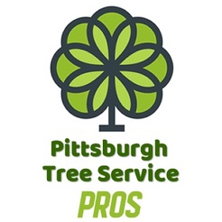 Pittsburgh Tree Service Pros - Pittsburgh, PA, USA