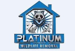 Platinum Raccoon Removal - Grand Rapids, MI, USA