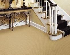 Potter's Carpet Cleaning - Lawson, MO, USA