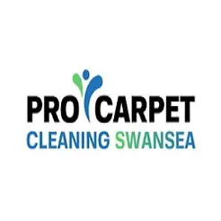 Pro Carpet Cleaning Swansea - Ystalyfera, Swansea, United Kingdom