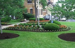 Pro Lawn Care Colleyville - Colleyville, TX, USA