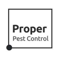 Proper Pest Control - Southport, QLD, Australia