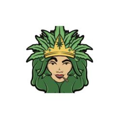 Queen Cannabis NYC Marijuana Weed Dispensary - New York, NY, USA