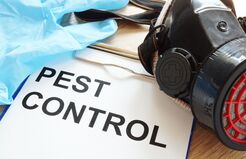 Railroad Pest Control Experts - East Point, GA, USA