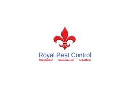 Royal Pest Control - Brampton, ON, Canada