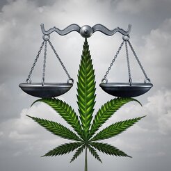 Same Day Ounce - Delivery Service - Langley, BC, Canada Same Day Ounce - Delivery Service - Langley, BC, Canada