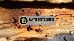 Santee Pest Control Company - Santee, CA, USA