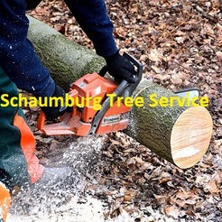 Schaumburg Tree Service - Schaumburg, IL, USA