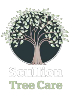 Scullion Tree Care Ltd - Leamington Spa, Warwickshire, United Kingdom