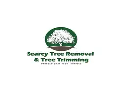 Searcy Tree Service - Searcy, AR, USA