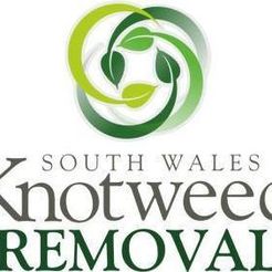South Wales Knotweed Removal - Ammanford, Carmarthenshire, United Kingdom