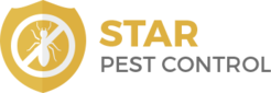 Star Pest Control Brampton - Brampton, ON, Canada