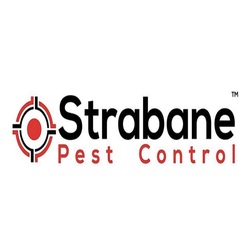 Strabane Pest Control - Strabane, London S, United Kingdom