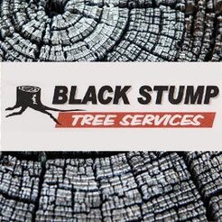 Stump Removal Adelaide Hills Stump Removal Adelaide Hills