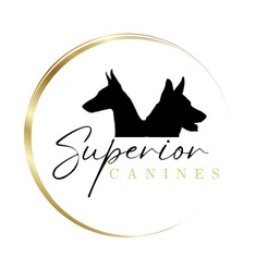 Superior Canines - Eden, NC, USA