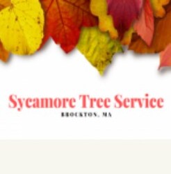 Sycamore Tree Service Brockton - Brockton, MA, USA