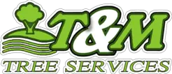 T and M Tree Services - Brisban, QLD, Australia