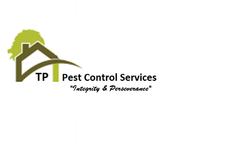 TP Pest Control Services - Rat Control - Poole, Dorset, United Kingdom