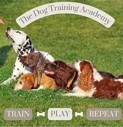 The Dog Training Academy - Miami, FL, USA