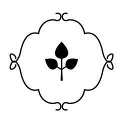 Tielka Organic Tea Tielka Organic Tea