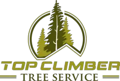 Top Climber Tree Service Corp - Stoughton, MA, USA