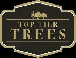 Top Tier Trees - Marietta, GA, USA