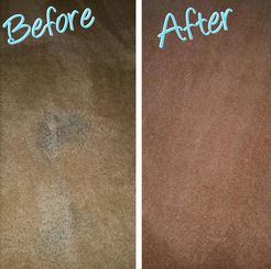 Touch Cleaning  Carpet - Kerr, OH, USA