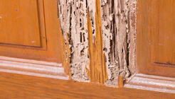 Treasure State Termite Experts - Butte, MT, USA Treasure State Termite Experts - Butte, MT, USA