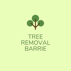 Tree Removal Barrie - Barrie, ON, Canada