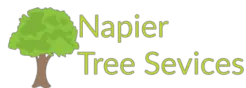 Tree Removal Napier - Napier, Hawke's Bay, New Zealand